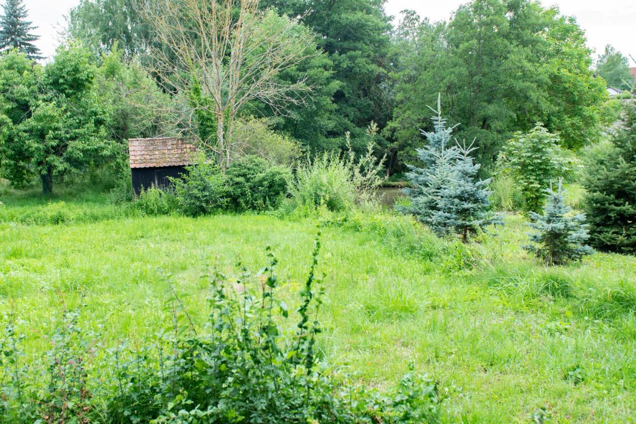 Ferienwohnung Auf Ehemaligen Bauernhof In Der Naehe Von Bamberg Walsdorf  외부 사진